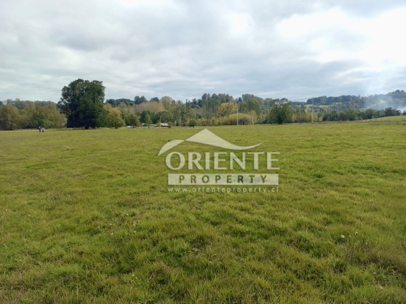 Parcela en venta en Osorno — foto 3