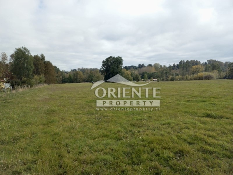 Parcela en venta en Osorno — foto 4
