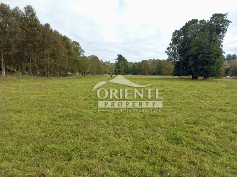 Parcela en venta en Osorno — foto 7