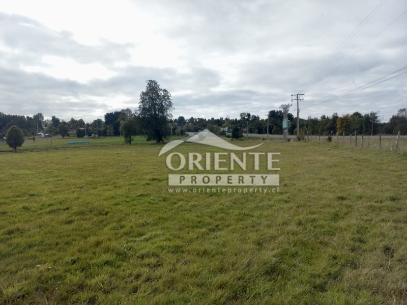 Parcela en venta en Osorno — foto 8