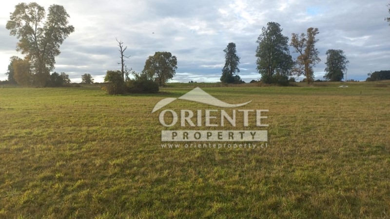 Parcela en venta en Osorno — foto 3
