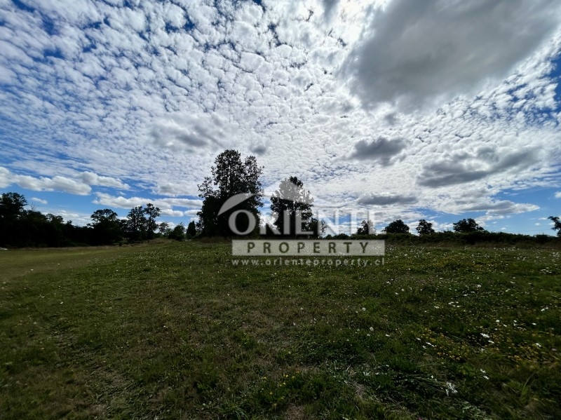 Parcela en venta en Osorno — foto 4