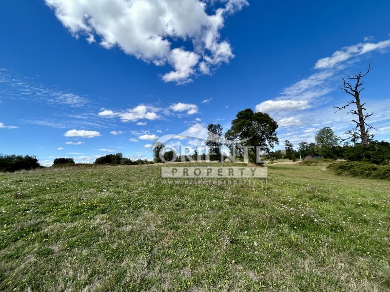 Parcela en venta en Osorno — foto 5