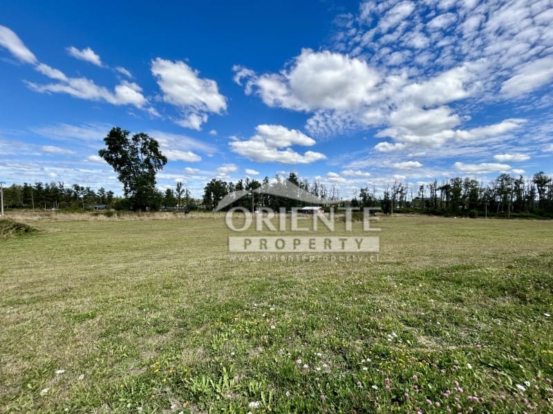 Parcela en venta en Osorno — foto 6