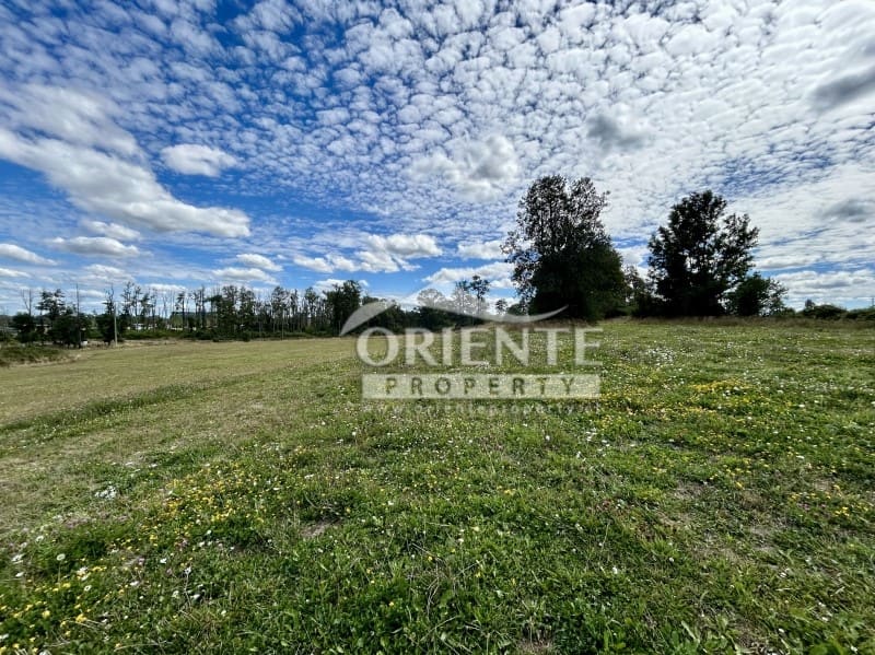 Parcela en venta en Osorno — foto 10