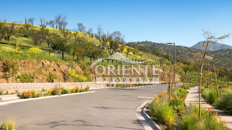 Terreno en venta en Lo Barnechea — foto 6