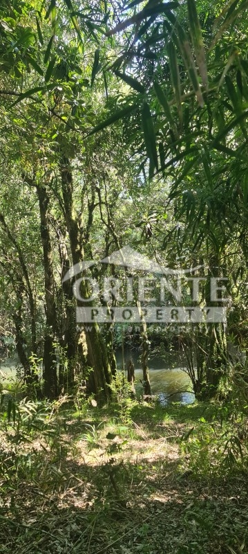 Parcela en venta en Loncoche — foto 6