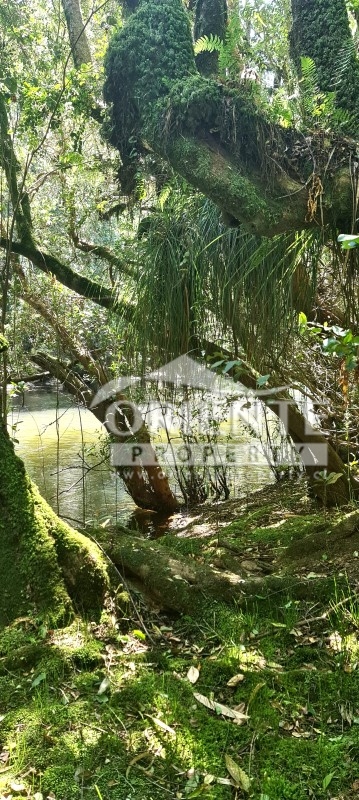 Parcela en venta en Loncoche — foto 7