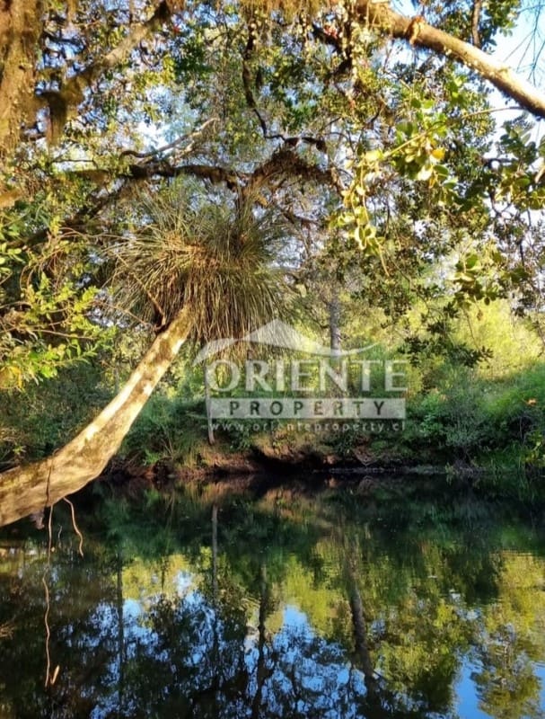 Parcela en venta en Loncoche — foto 9