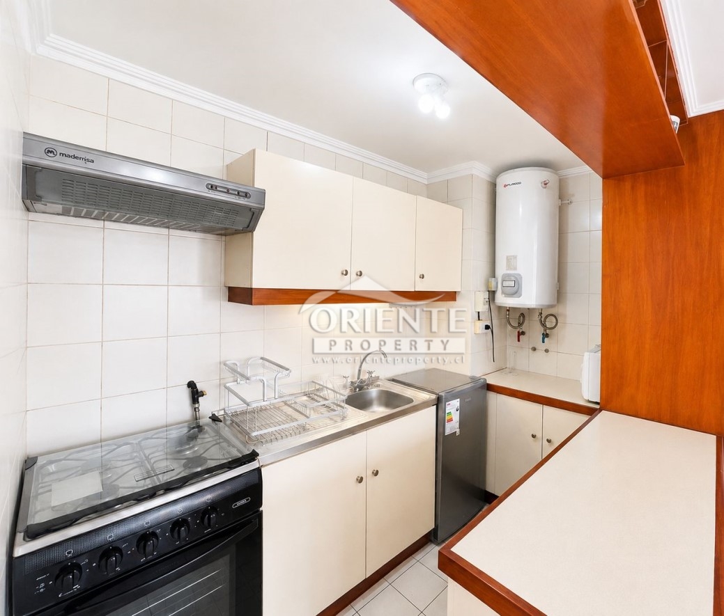Departamento en arriendo en Providencia — foto 9