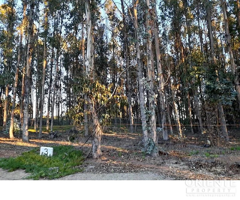 Terreno en venta en Puchuncaví — foto 3