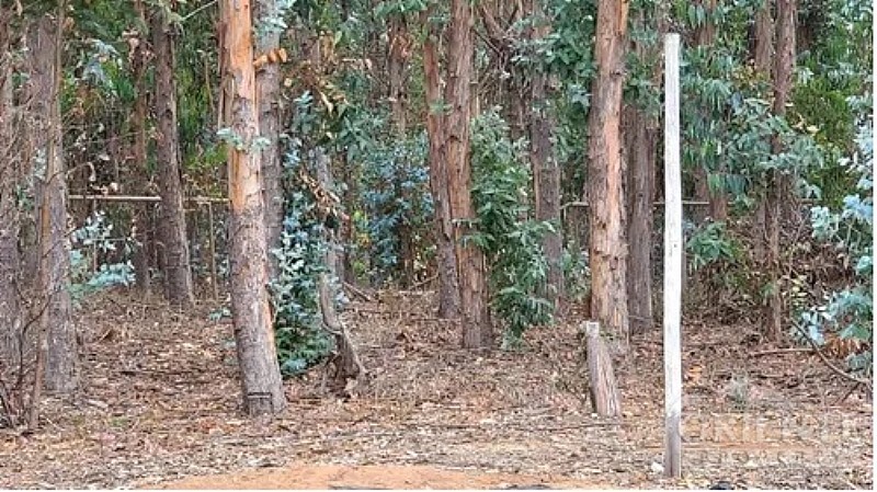 Terreno en venta en Puchuncaví — foto 5
