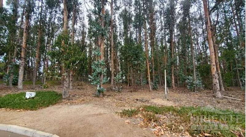 Terreno en venta en Puchuncaví — foto 7