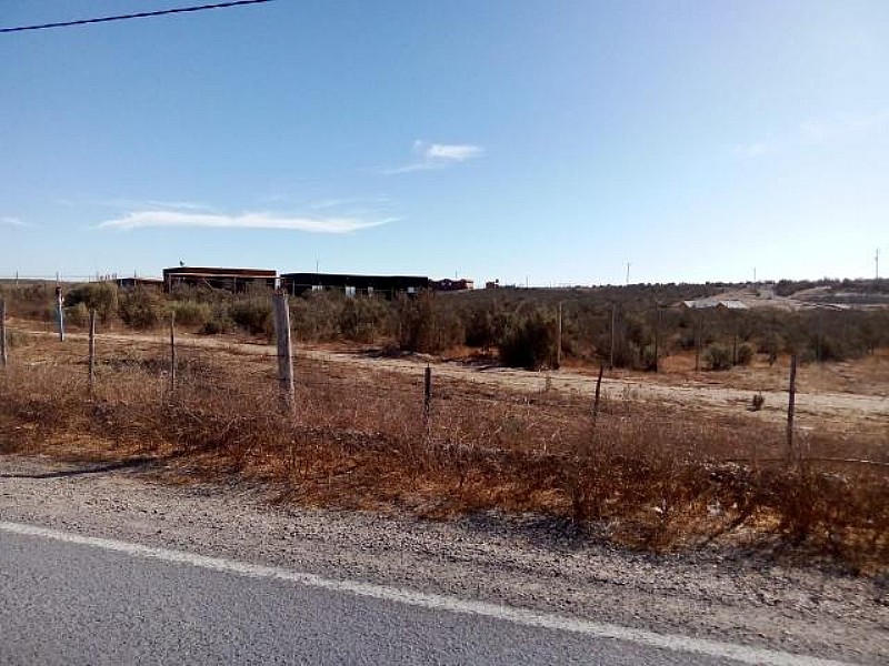 Parcela en venta en Coquimbo — foto 6